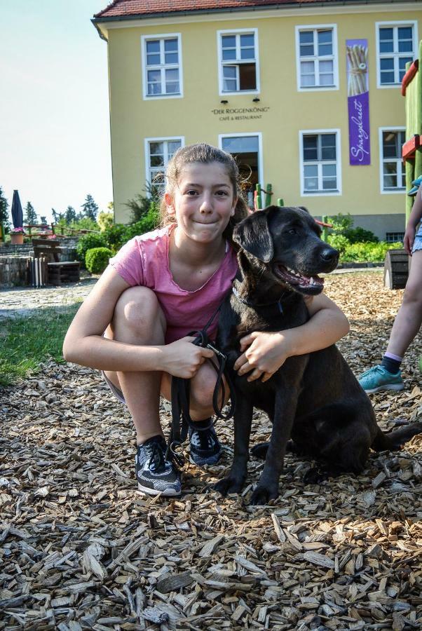 Familien- Und Freizeithotel Gutshaus Petkus エクステリア 写真